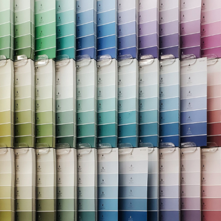 Discover the 2024 Pantone Colour of the Year